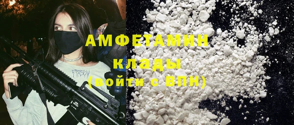шишки Алзамай