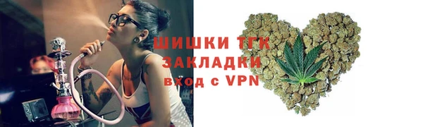 шишки Алзамай