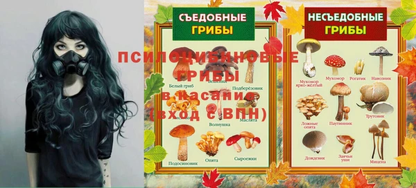 шишки Алзамай