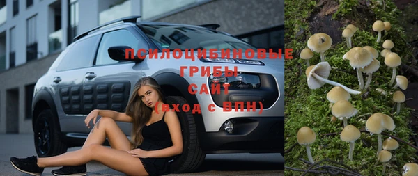 PSILOCYBIN Алексин