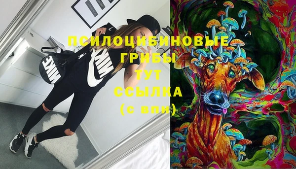 шишки Алзамай