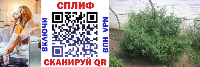 MEGA ССЫЛКА  Лермонтов  Бошки марихуана Bruce Banner 